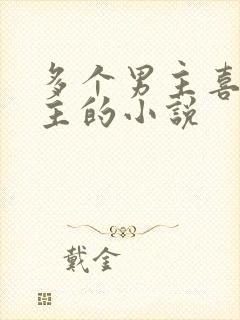 多个男主喜欢女主的小说