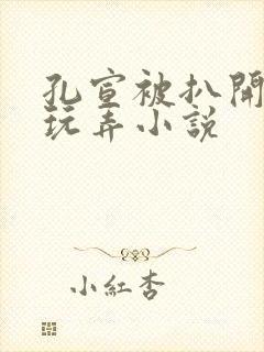 孔宣被扒开双腿玩弄小说