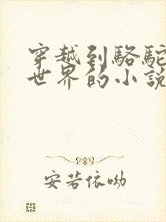 穿越到骆驼祥子世界的小说