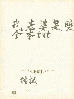 我老婆是双胞胎全本txt