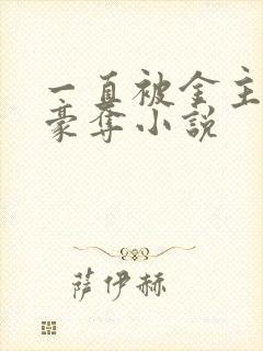 一直被金主强取豪夺小说