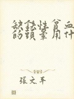 缺铁性贫血引起的头晕用什么药治疗