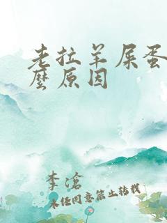 老拉羊屎蛋是什么原因