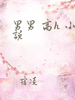 男男 高h 小说