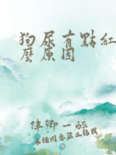 狗尿有点红是什么原因