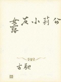 女友小莉公车暴露