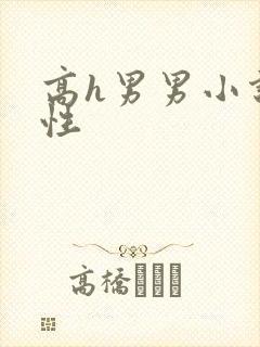 高h男男小说双性