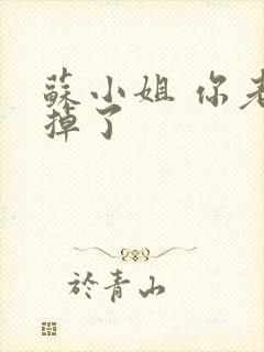 苏小姐 你老公掉了