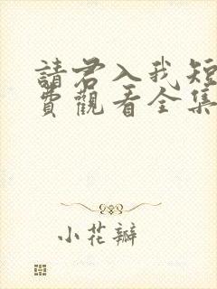 请君入我短剧免费观看全集高清