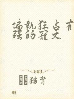 偏执狂占有欲很强的宠文