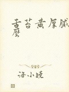 舌苔黄厚腻吃什么