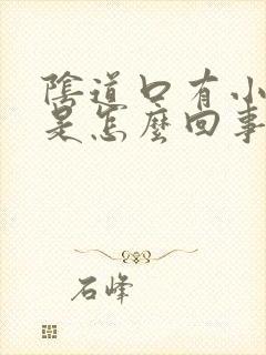 阴道口有小肉肉是怎么回事