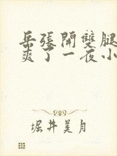 岳张开双腿让我爽了一夜小说