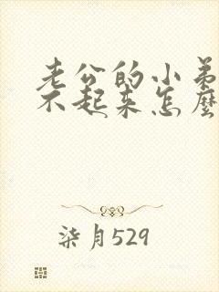 老公的小弟弟硬不起来怎么办