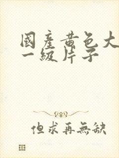 国产黄色大粗吊一级片子