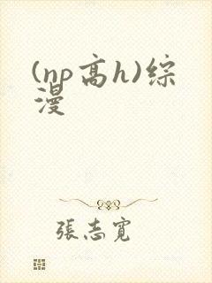 (np高h)综漫