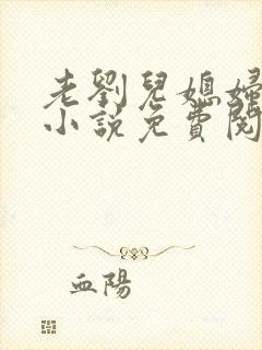 老刘儿媳妇张岚小说免费阅读