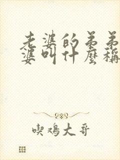 老婆的弟弟的老婆叫什么称呼,关系是