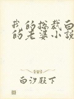 我的总裁白富美的老婆小说免费阅读无弹窗