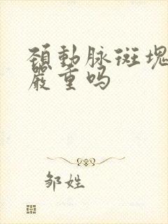 颈动脉斑块2级严重吗