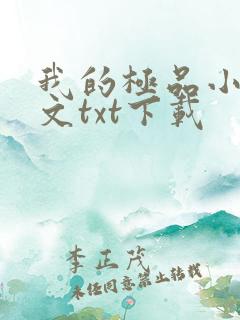 我的极品小姨全文txt下载