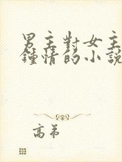 男主对女主一见钟情的小说