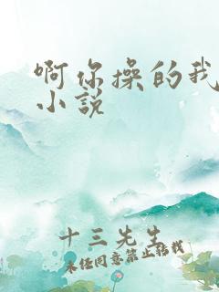 啊你操的我好爽小说