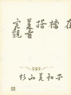 完美搭档 在线观看