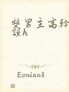 双男主高干文小说h