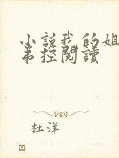 小说我的姐姐很弟控阅读