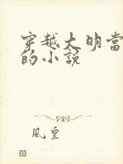 穿越大明当王爷的小说