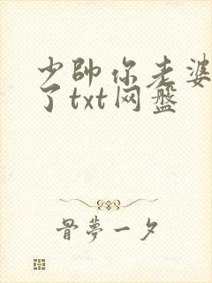 少帅你老婆又跑了txt网盘
