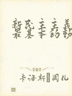 新民主主义革命最基本的动力是( )