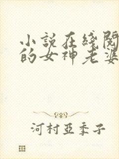 小说在线阅读我的女神老婆