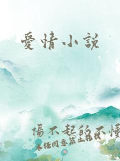 爱情小说