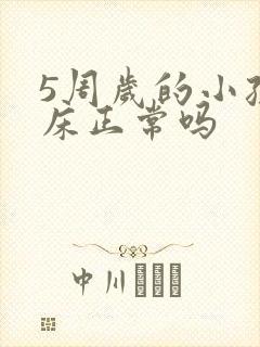 5周岁的小孩尿床正常吗