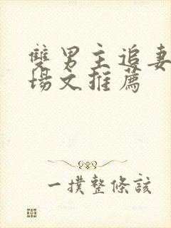 双男主追妻火葬场文推荐