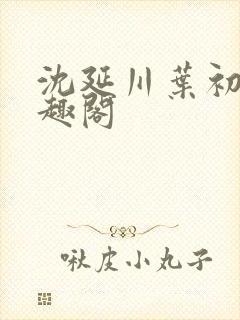 沈延川叶初棠笔趣阁
