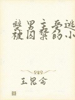 双男主受逃跑后被囚禁的小说推荐