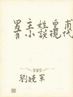 男主姓皇甫的所有小说现代言情