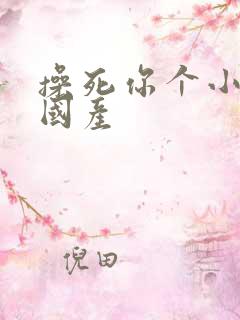 操死你个小骚货国产