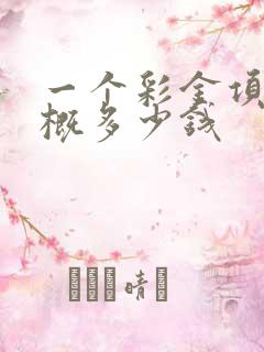 一个彩金项链大概多少钱