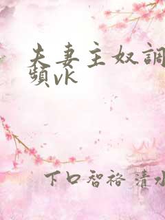 夫妻主奴调教视频vk