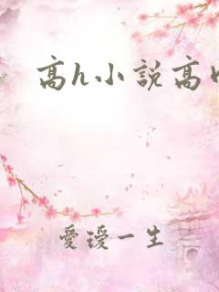 高h小说高肉