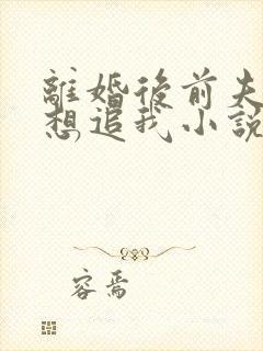 离婚后前夫总是想追我小说无弹窗