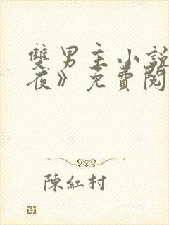 双男主小说《爱夜》免费阅读