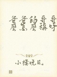 爸爸的哥哥叫什么怎么称呼