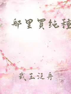 哪里买纯种母猪