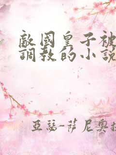 敌国皇子被净身调教的小说