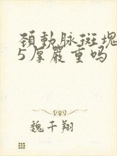 颈动脉斑块1.5厚严重吗